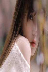 季总虐妻适可而止畅读全文版