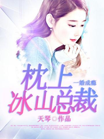 一婚成瘾:枕上冰山总裁