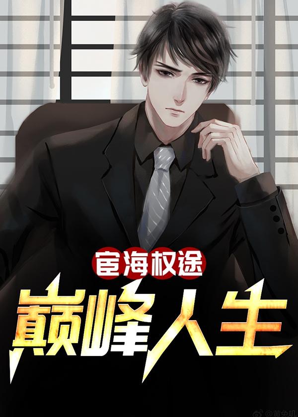 宦海权途:巅峰人生