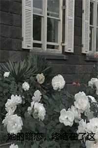 她的暗恋,终结在了这一天