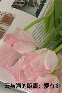 云与海的距离:爱有多远才叫远结局+番外
