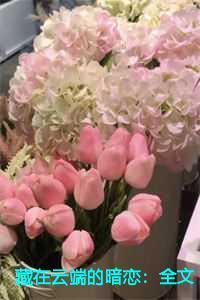 藏在云端的暗恋:全文+后续