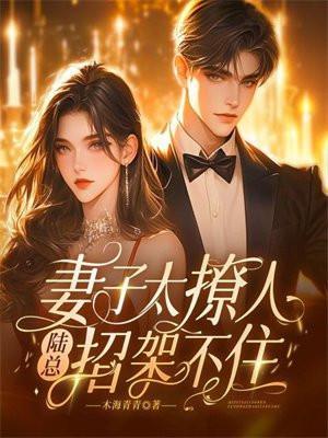 妻子太撩人,陆总架不住