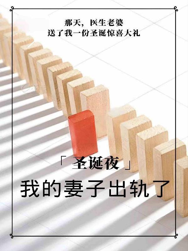 圣诞夜,我的妻子出轨了