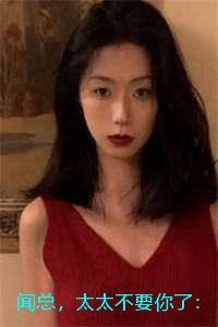 闻总,太太不要你了:全文+后续