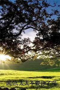 闻总太太不要你了完本:结局+番外