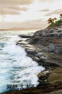 闻总太太不要你了未删减:结局+番外