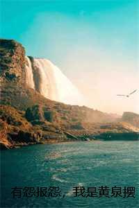 天极五书全集免费