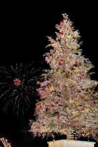 秦言策赵凝楚:全文+后续