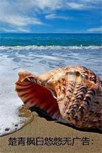 楚青枫白悠悠无广告:结局+番外+完结