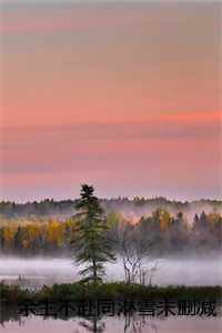 余生不赴同淋雪未删减小说:结局+番外