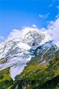 余生不赴同淋雪:全文+后续+结局