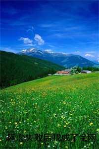 网恋失败后我成了全网白月光完整版:全文+后续+结局