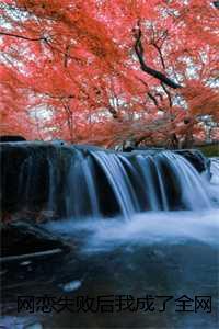 网恋失败后我成了全网白月光:全文+后续+结局祝南音贺祁临