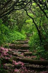 网恋失败后我成了全网白月光:结局+番外祝南音贺祁临