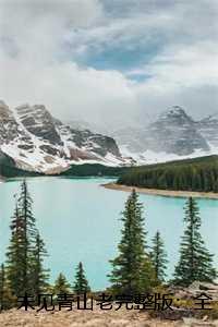 未见青山老完整版:全文+结局+番外