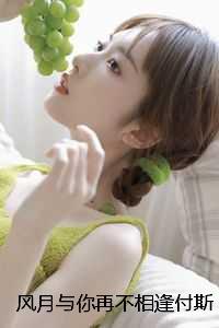 风月与你再不相逢付斯越：结局+番外