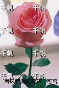 春风若有怜花意,可否许我再少年:结局+番外