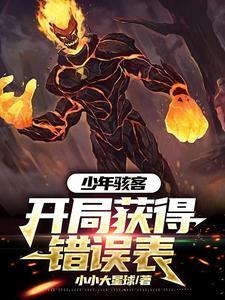 少年骇客：开局获得错误表