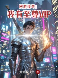 网游传奇：我有至尊VIP