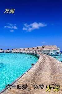 陈年旧爱:免费+后续