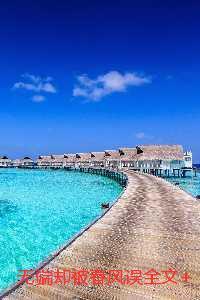 无端却被春风误：无弹窗大结局