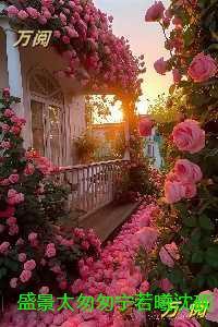 盛景太匆匆宁若曦沈砚舟:人气小说