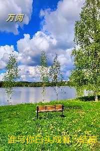 谁与你白头成眷：爆火全网