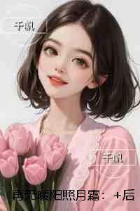 再无暖阳照月霜：+后续+结局