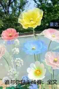 谁与你白头成眷：小说大结局