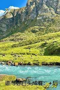 谁与你白头成眷：结局+番外必读