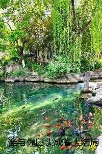 谁与你白头成眷：全文+番茄