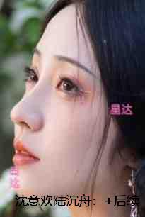 沈意欢陆沉舟：小说