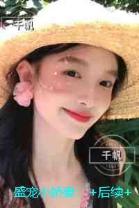 盛宠小娇妻：短篇小说阅读