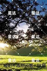 暖阳不再照云雾：免费