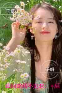 山回路转不见君：精品篇