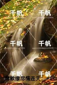 雾散缘尽情连天