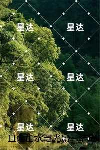 且向山水寻光景:+完本+结局