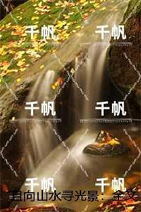 且向山水寻光景:精彩章节