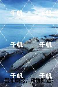 爱如烟花,转瞬即逝小编推荐