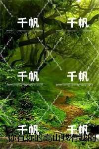 你有你的高山我有我的旷野：全面完结