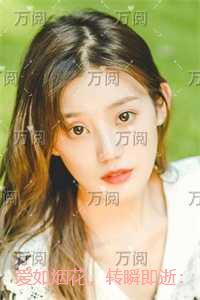 爱如烟花,转瞬即逝:全本小说