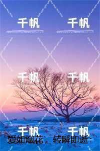 爱如烟花,转瞬即逝:免费+后续