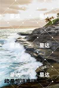 终是惊鸿难照影:谢知远温向晚