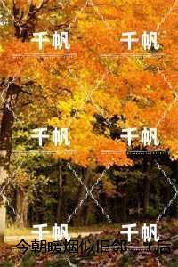 今朝暖烟似旧邻:完整版全文在线