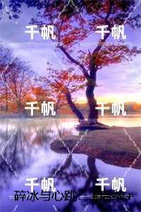 碎冰与心跳:完结精选作品