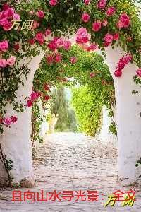 且向山水寻光景：+结局+畅读