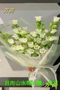 且向山水寻光景爽文