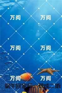 端午回家后，我成二婚了绵绵+结局+完结
