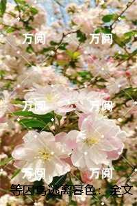 等囚鸟逃离暮色必读爽文